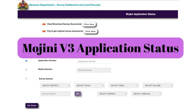 Mojini V3 Application Status